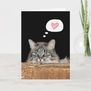 Scheunenkatze denkt an dich karte