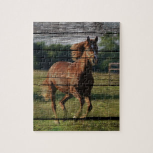 Scheunewoodgrain-Land-Ranch, die Brown-Pferd Puzzle