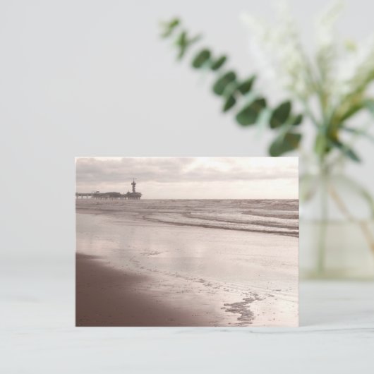 Scheveningen Dier in der Dämmerung Postkarte (Stehend Vorderseite)