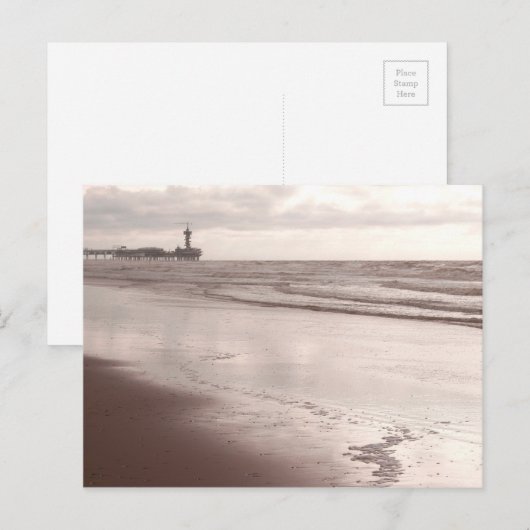 Scheveningen Dier in der Dämmerung Postkarte (Vorne/Hinten)