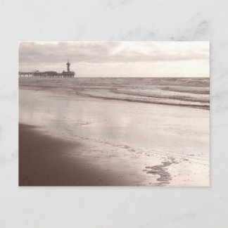 Scheveningen Dier in der Dämmerung Postkarte