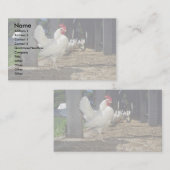 Schichten (Hennen und Hähne) Visitenkarte (Vorne/Hinten)