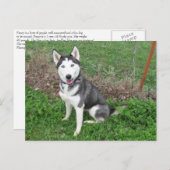 Schick Postkarte (Vorne/Hinten)