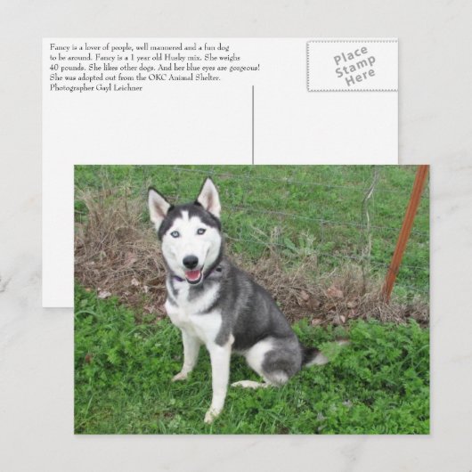 Schick Postkarte (Vorne/Hinten)