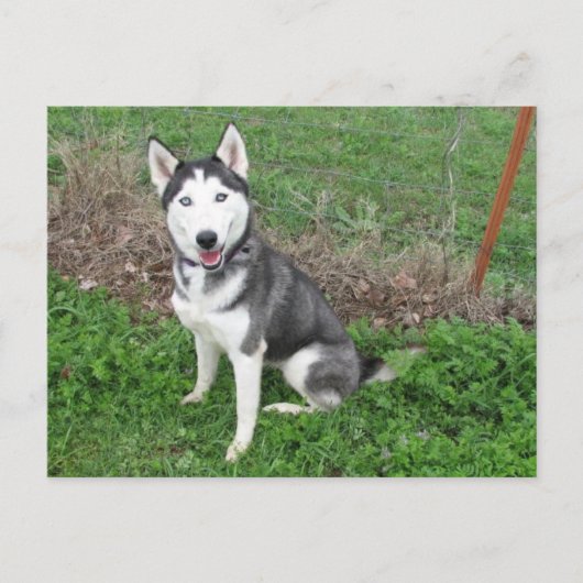 Schick Postkarte (Vorderseite)