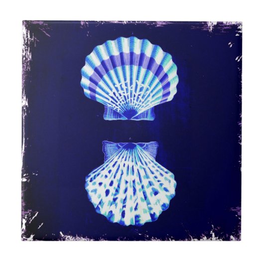 schicke Küstenstrände rustikale Seeschiffe Muschel Fliese (Vorderseite)