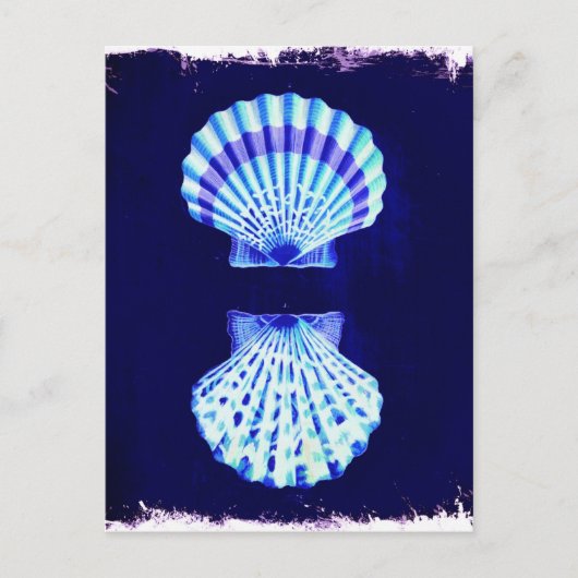 schicke Küstenstrände rustikale Seeschiffe Muschel Postkarte (Vorderseite)