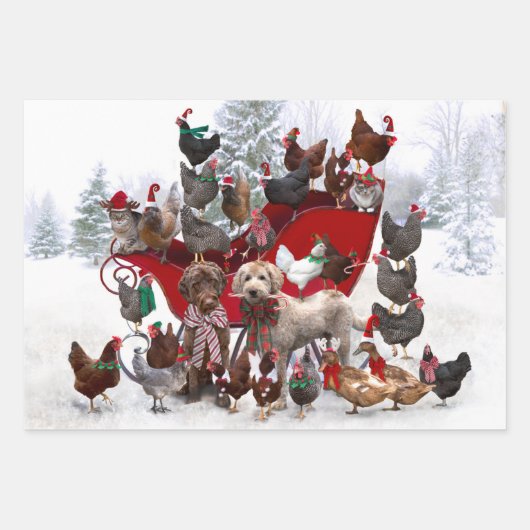 SCHICKEN MIT WEIHNACHTSMANNMÜTZEN UND HUNDEN-WRAPP GESCHENKPAPIER SET (Vorderseite)