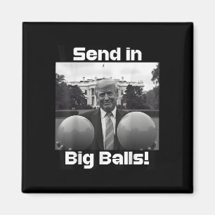 Schicken Sie große , Präsident Trump und Doge Magnet