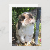 Schicken Sie jemandem etwas Wut mit diesem kleinen Ankündigungspostkarte (Vorne/Hinten)