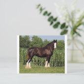 Schicksal Postkarte (Stehend Vorderseite)