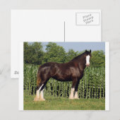 Schicksal Postkarte (Vorne/Hinten)