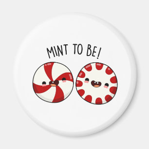 Schicksal Sein Lustig Süße Bonbon Wortspiel Magnet