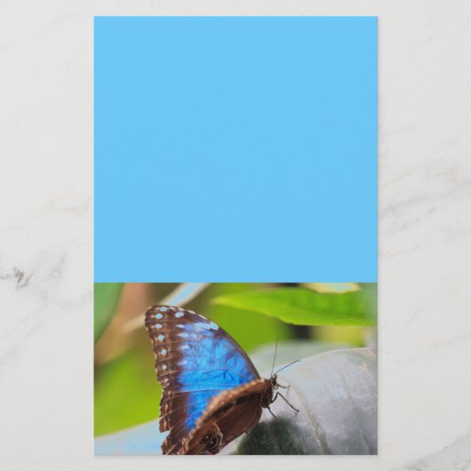 Schicksals-Geschenke Briefpapier (Vorderseite)