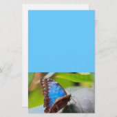 Schicksals-Geschenke Briefpapier (Vorne/Hinten)