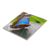 Schicksals-Geschenke Fliese (Seite)