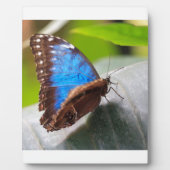 Schicksals-Geschenke Fotoplatte (Vorderseite)