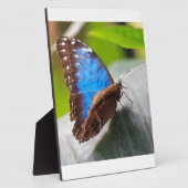 Schicksals-Geschenke Fotoplatte (Seite)