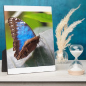 Schicksals-Geschenke Fotoplatte (Seite)