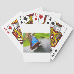 Schicksals-Geschenke Spielkarten