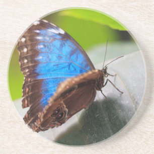 Schicksals-Geschenke Untersetzer