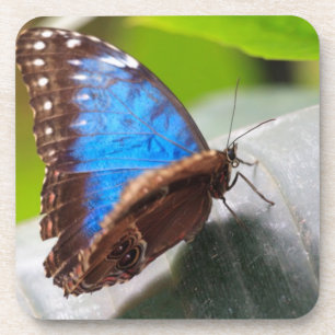 Schicksals-Geschenke Untersetzer