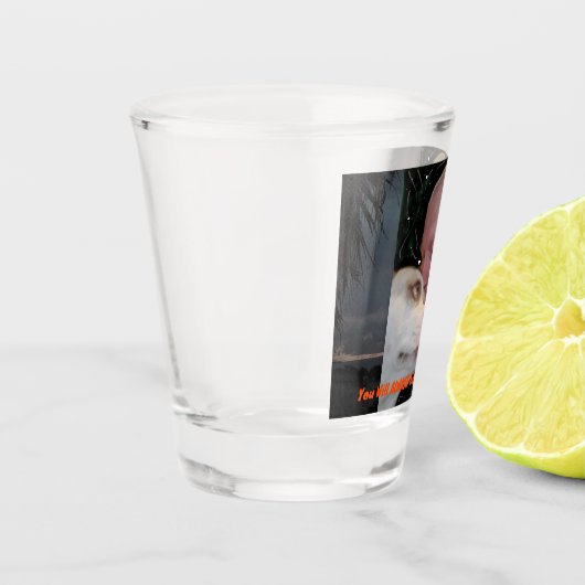 Schiebeglas Schnapsglas (Links)