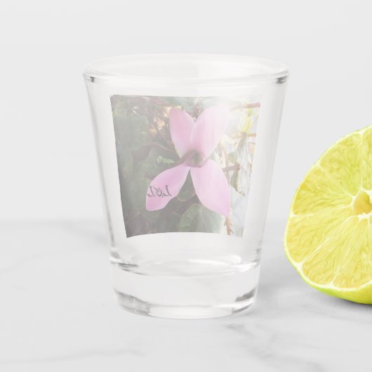 Schiebeglas Schnapsglas (Rückseite)