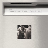 Schieben Magnet (In Situ (Geschirrspüler))