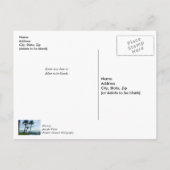 Schiefe Palmen Danke Postkarte (Rückseite)