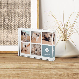 Schiefer Dog Pawprint Collage Fotoblock