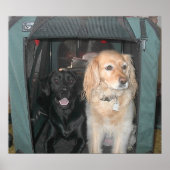 Schiefer und Sasha Poster (Vorne)