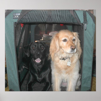 Schiefer und Sasha Poster