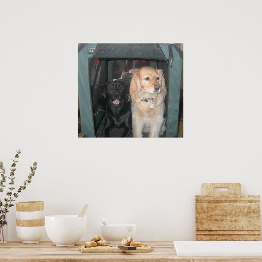 Schiefer und Sasha Poster (Küche)