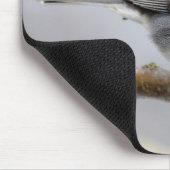 Schieferfarbener, dunkel-Mit Augen Junco auf der B Mousepad (Ecke)