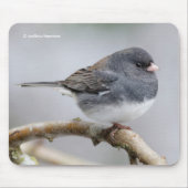 Schieferfarbener, dunkel-Mit Augen Junco auf der B Mousepad (Vorne)