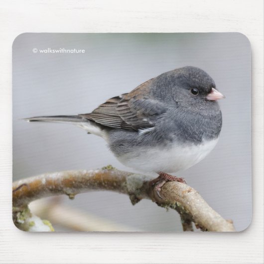 Schieferfarbener, dunkel-Mit Augen Junco auf der B Mousepad (Vorne)