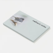 Schieferfarbener, dunkel-Mit Augen Junco auf der B Post-it Klebezettel (angewinkelt)