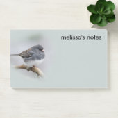 Schieferfarbener, dunkel-Mit Augen Junco auf der B Post-it Klebezettel (Büro)