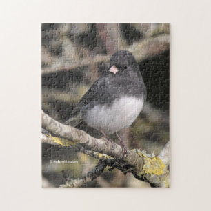 Schieferfarbener, dunkel-Mit Augen Junco auf der B Puzzle