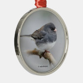 Schieferfarbener, dunkel-Mit Augen Junco auf der B Silbernes Ornament (Rechts)