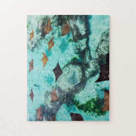 Schieferwasser | Rochen Puzzle (Vertikal)