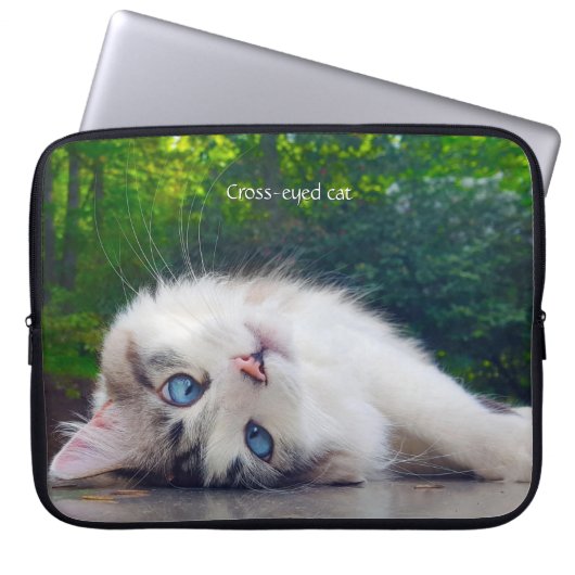 Schielaugen-Katze Laptopschutzhülle (Vorderseite)
