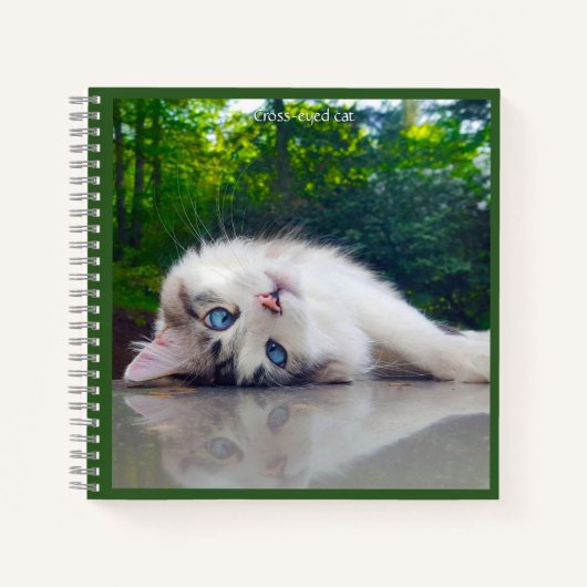 Schielaugenkatze Notizblock (Vorderseite)