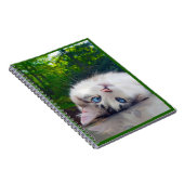 Schielende Katze Notizblock (Rechte Seite)