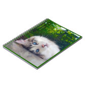 Schielende Katze Notizblock (Linke Seite)