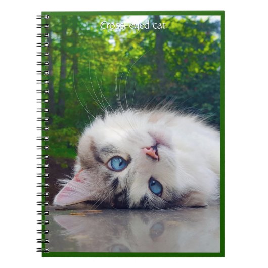 Schielende Katze Notizblock (Vorderseite)