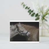 SCHIENENFREUNDE 04 POSTKARTE (Stehend Vorderseite)