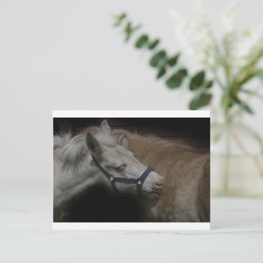 SCHIENENFREUNDE 04 POSTKARTE (Stehend Vorderseite)