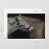 SCHIENENFREUNDE 04 POSTKARTE (Vorne/Hinten)